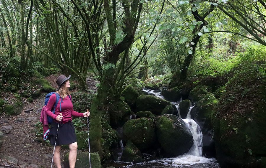 Ruta de la piedra y el agua y Monasterio de Armenteira