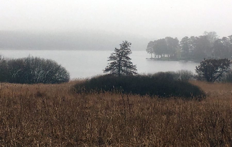 Sjaelsoe-rundt-rundtur-11-km