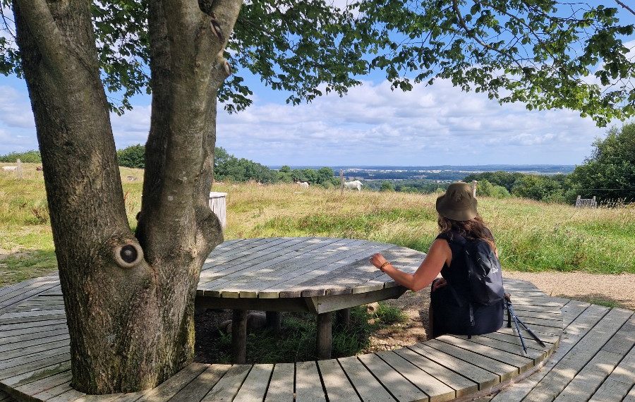 Panoramabænk på Skamlingsbankestien