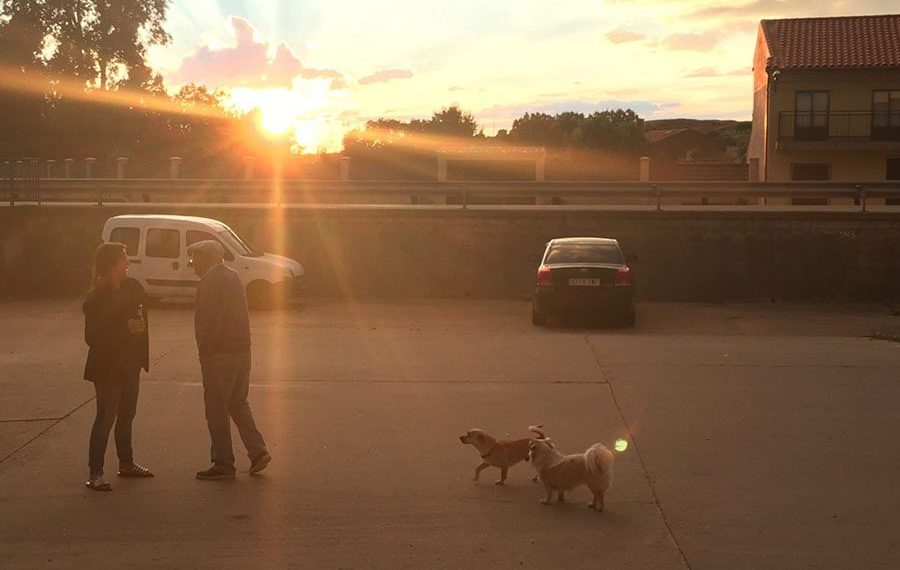 Tele-bar-granja-de-moreruela-albergue-camino-sanabres