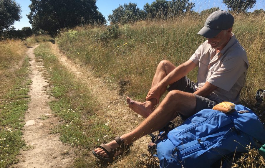 Vabler-caminoen-compeed-vabelplaster