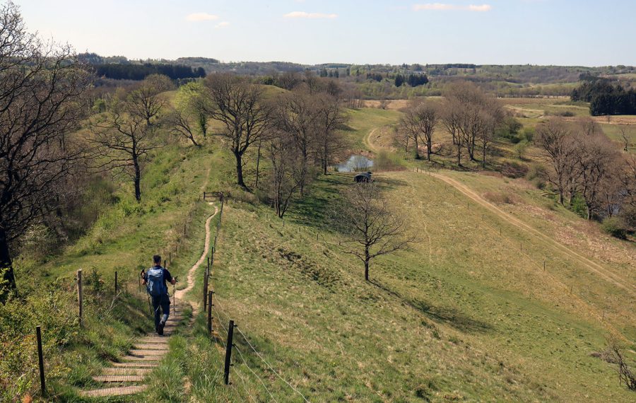 Vejle-aadal-rundture-vandrerute-vandretur-runkebjerg-udsigter