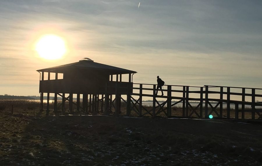 Vilsted-Soe-rundtur-vandring-danmark-1500x750