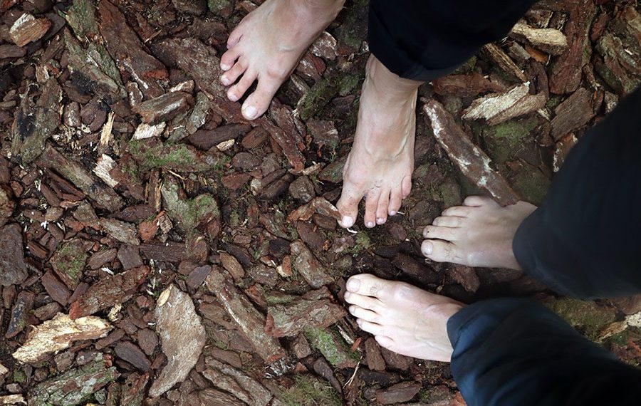 barfodsvandring-paa-bark-egestorf-barfodspark-vandrerute-barfodsvandring