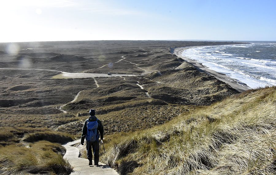 Oversvømmet sti ved Bulbjerg