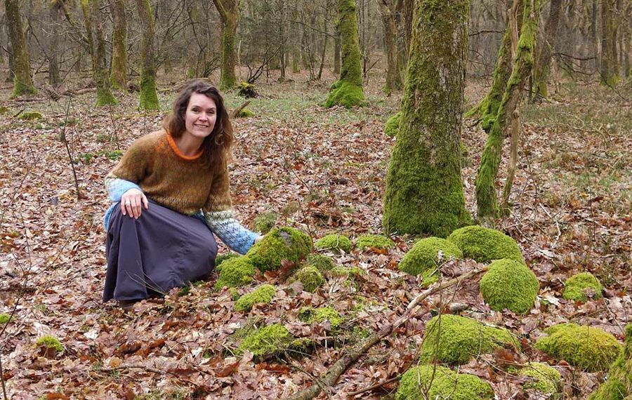 den-oprindelige-stenroese-paa-haervejen-i-stenholt-krat