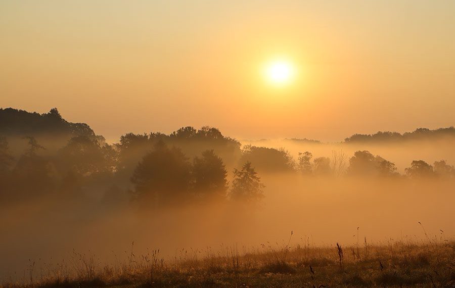 dis-mosekonen-brygger-moelleaadalen-buresoe-egedal-vandring