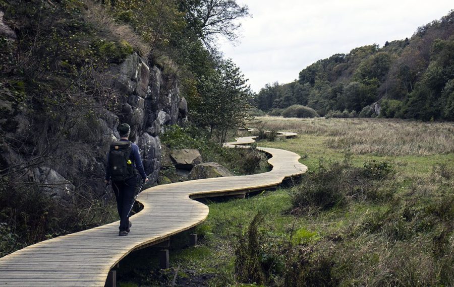 ekkodalen-hoejlyngsstien-vandrerute-paa-bornholm