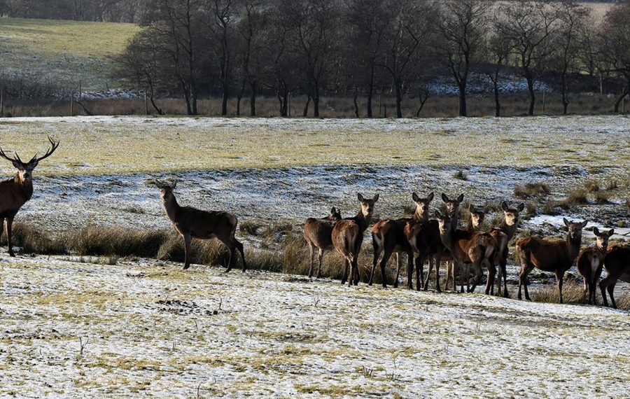 gaarute-herning-soervad-rundtur-soervad
