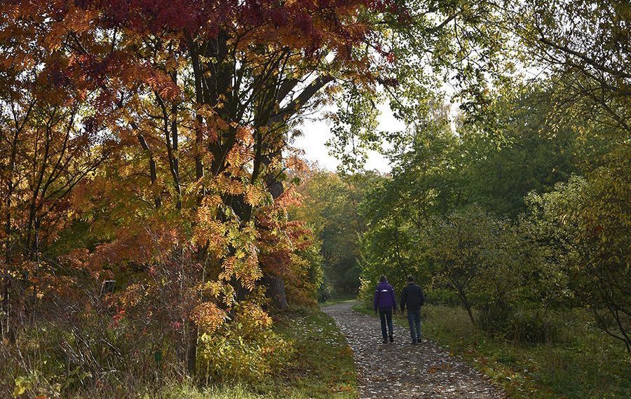 gaatur-rute-arboretet-vedbek-nordsjaelland-hoersholm
