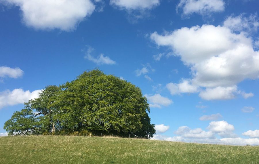 Vandrerute ved Ledreborg