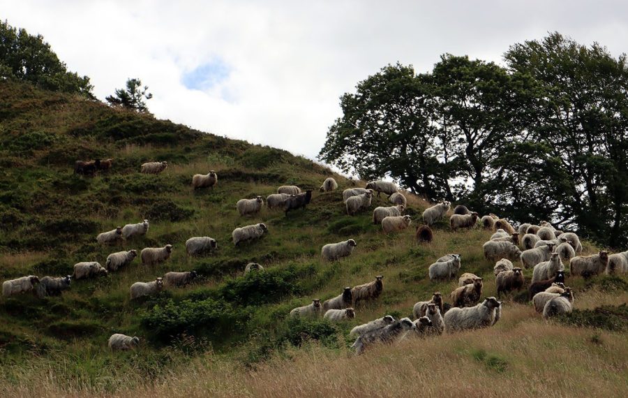 hald-soe-rundt-finde-vej-vandrerute-skiltet