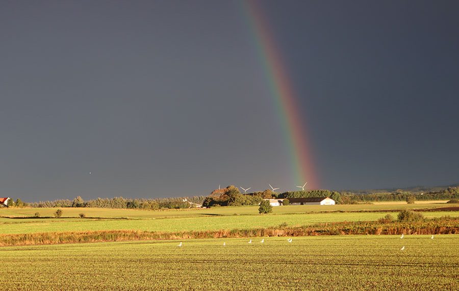 Hvor regnbuen ender