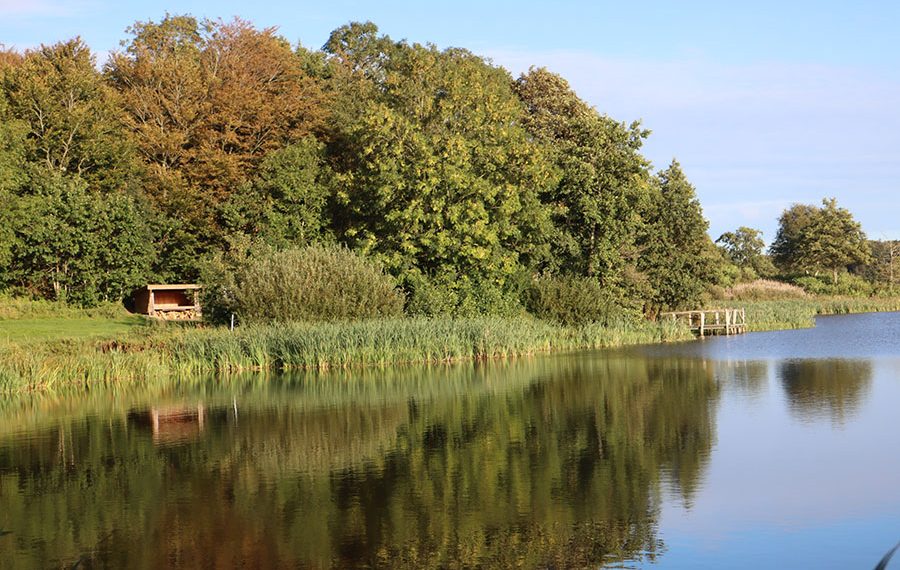 Smuk shelterplads ved Klokkerholm Møllesø
