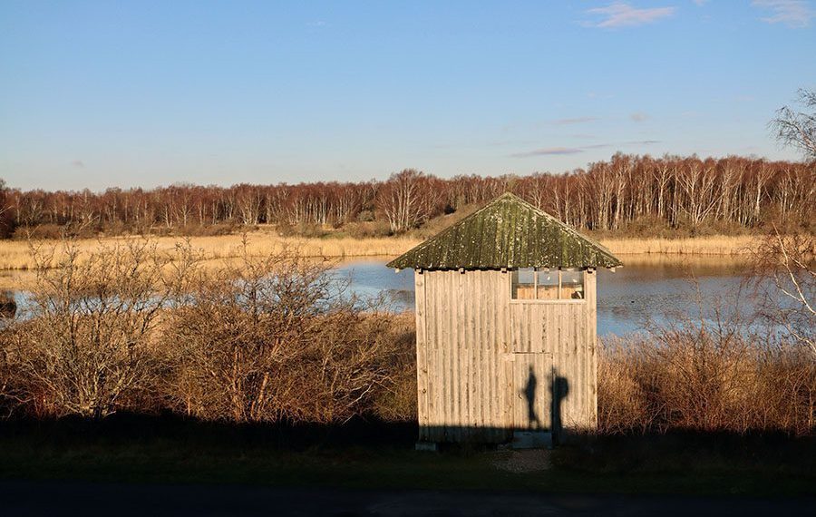 kongelunden-vandring-amaminoen-amagerminoen-cyklister