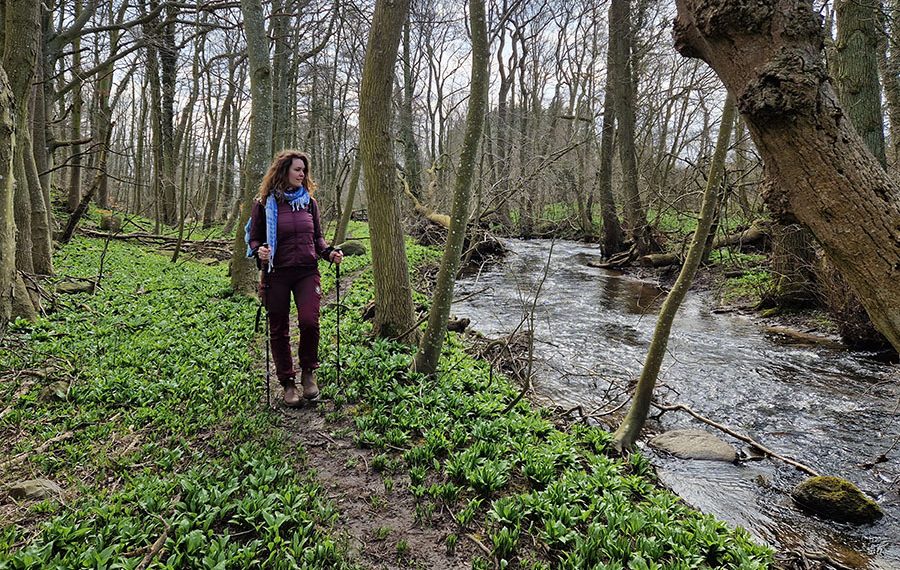 Linjer i landskabet - vandrerute på Bornholm