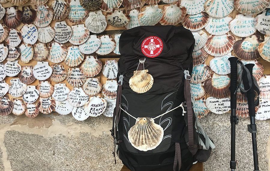 scallop-shell-bar-camino-sanabres-el-rincon-del-peregrino