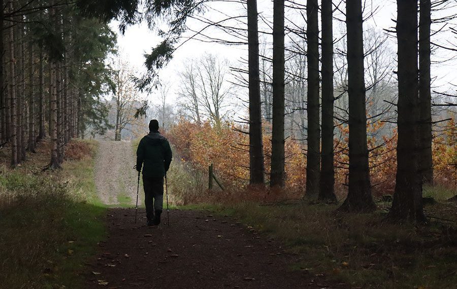 skarresoe-rundt-jyderup-odsherred-vandreture-vandrerute-skiltet-skov-lodsejer