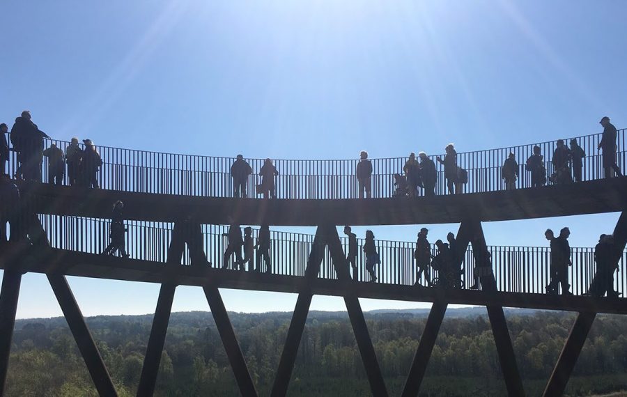 skovtaarnet-haslev-campadventure-vandretur-midtsjaelland