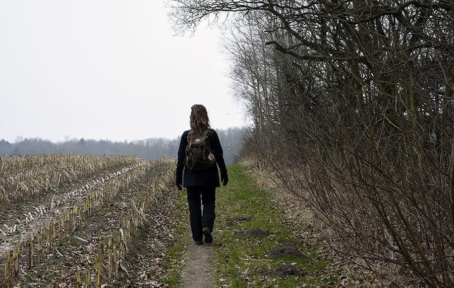 sporet-i-landskabet-gedsted-paradiset-900