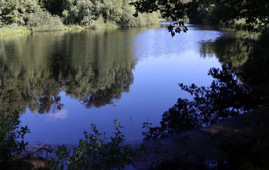 store-dyrehave-sorte-mose-raagaardshus