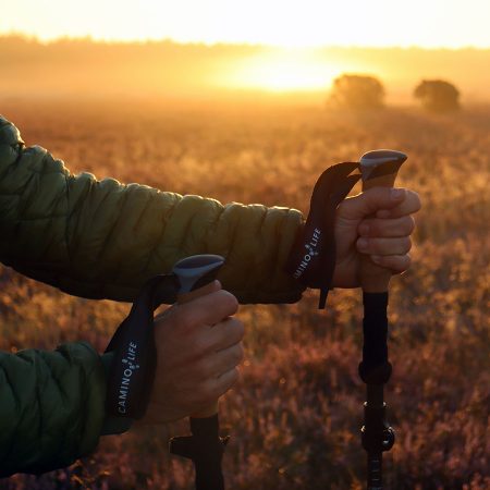 trekking-poles-carbon-foldable-camino-lightweight-cork-handles-900
