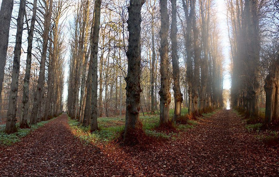 vandrerute-jaegerspris-slot-slotshave-alle