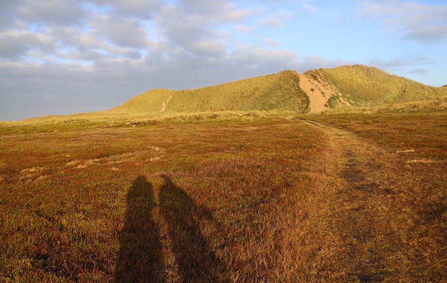Penbjergruten i Nationalpark Thy