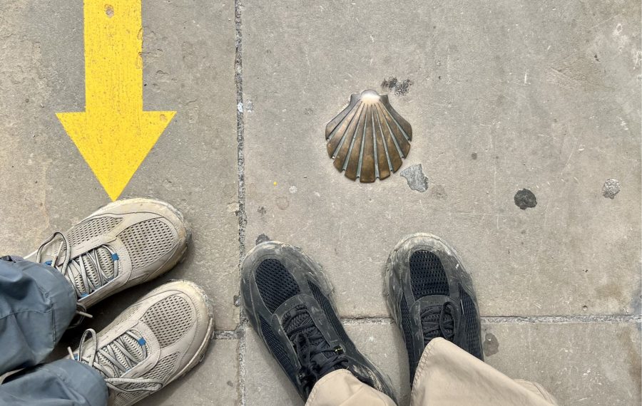 Luftige vandresko i mesh Columbia Hatana Breathe