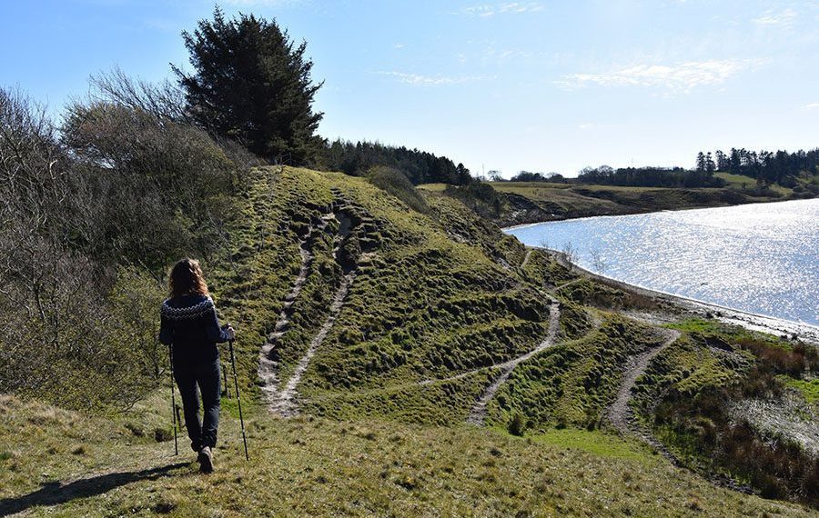vandretur-struer-vandrerute-smuk-Kilen-rundt-trampestier-udsigt-dyrefolde-heste-faar-kvaeg-900