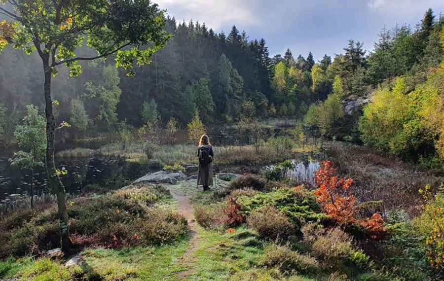 vandring-paa-hoejlyngsstien-paa-bornholm-efteraar